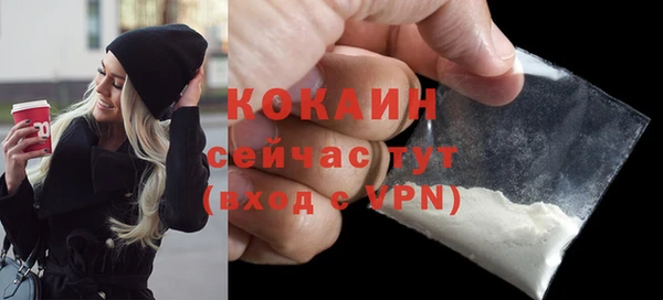 мдпв Ладушкин
