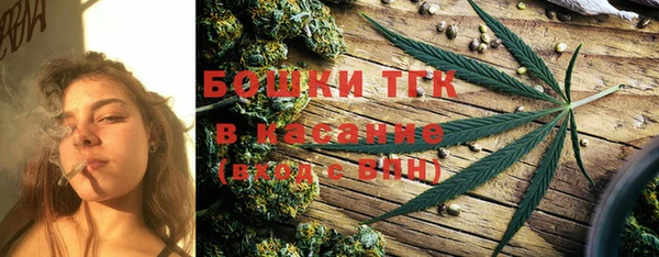 шишки Гусев