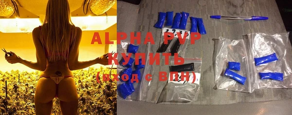 трава Гусиноозёрск