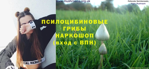 прущая мука Белоозёрский