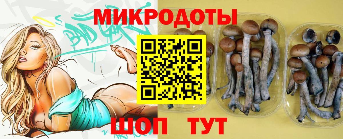 Воркута  Галлюциногенные грибы мухоморы  Вход с VPN 